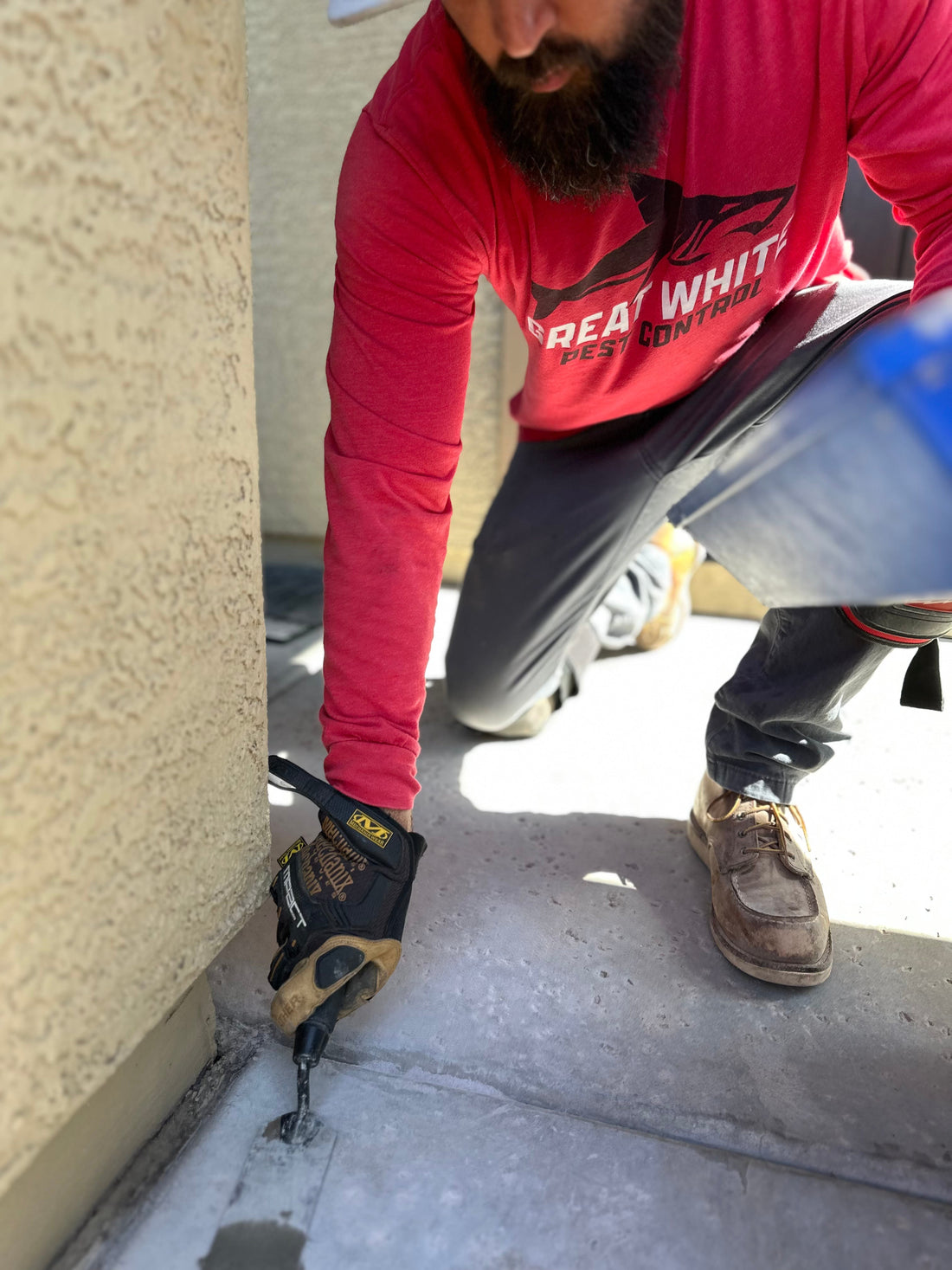 Termite Trouble in Summer: What Every Arizona Homeowner Should Know