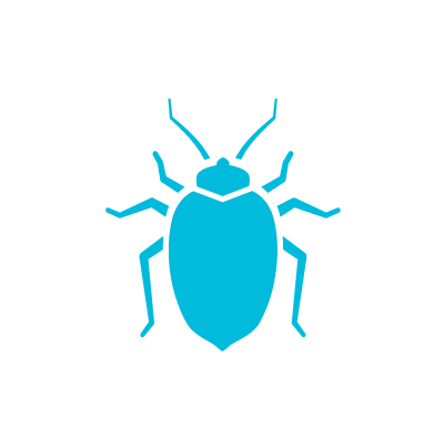 Phoenix Arizona Bed Bug Icon