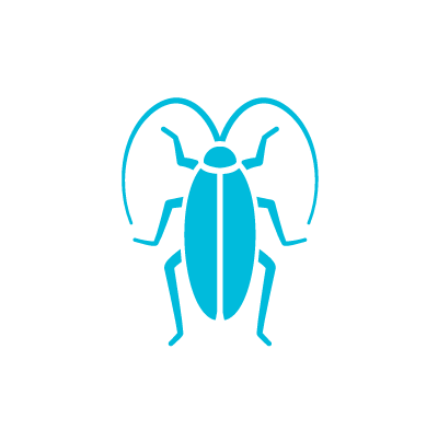 Phoenix Arizona Roach Bug Icon