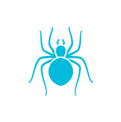 Phoenix Arizona Spider Icon