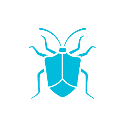 Phoenix Arizona Stink Bug Icon