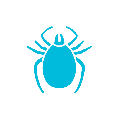 Phoenix Arizona Tick Bug Icon